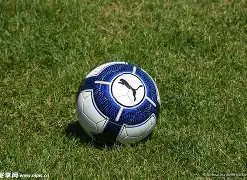 曼联欧联小,组赛次轮,谢里夫,爱体育平台,爱体育官方网站,爱体育登录入口,爱体育app下载