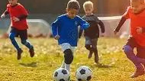 内蒙古发布“三大球”发展突破战略规划