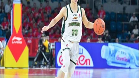 大乐透期号专家推荐：灰熊体能挑战奇迹分析